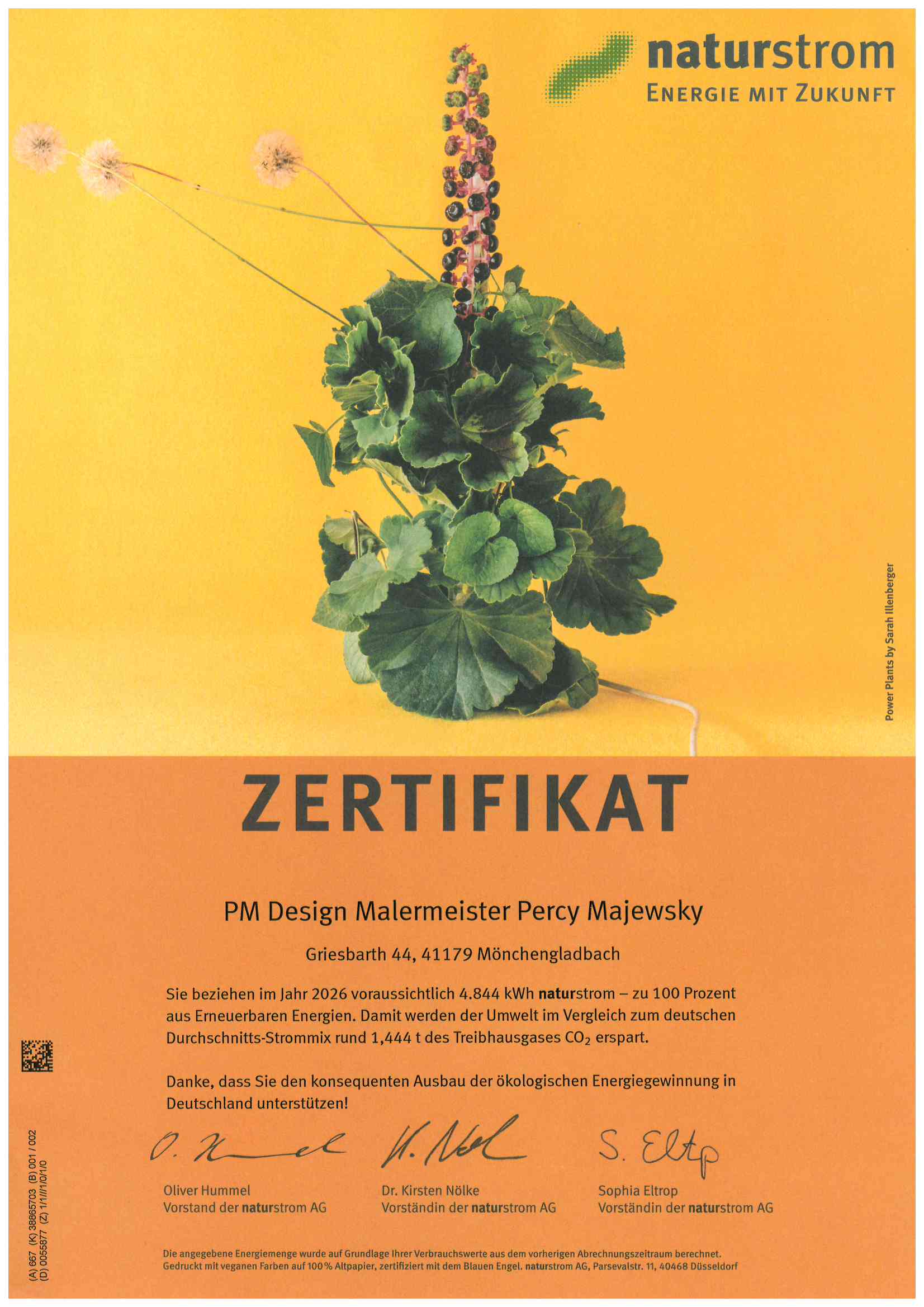 Naturstrom Zertifikat Strom